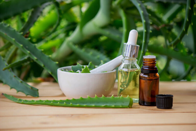 Aloes oraz butelki z pipetą