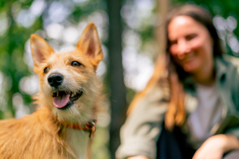 Pies w towarzystwie właścicielki