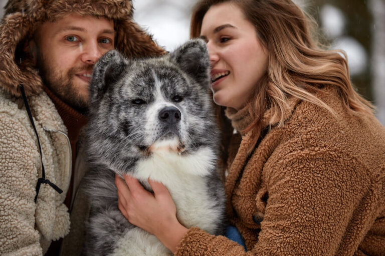 Pies niedźwiedź i ludzie