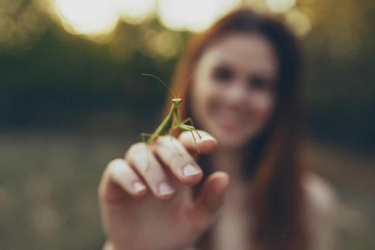 Entomolog z owadem na palcach podczas pracy