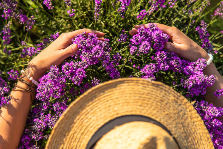 Kobieta w kapeluszu obejmująca lawendę