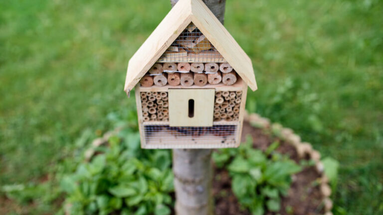 Domek dla owadów