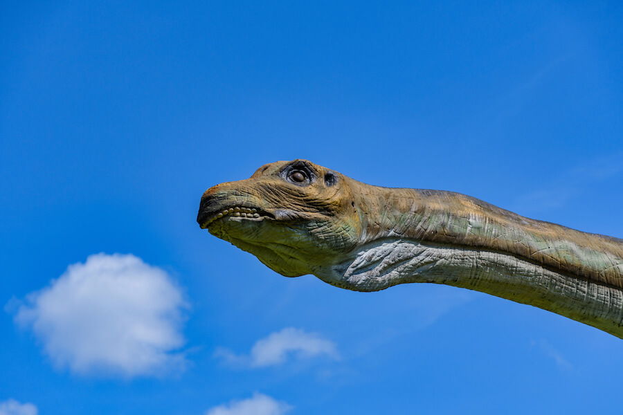 Dinozaur z głową na tle nieba