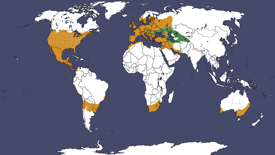 Występowanie karpia na świecie