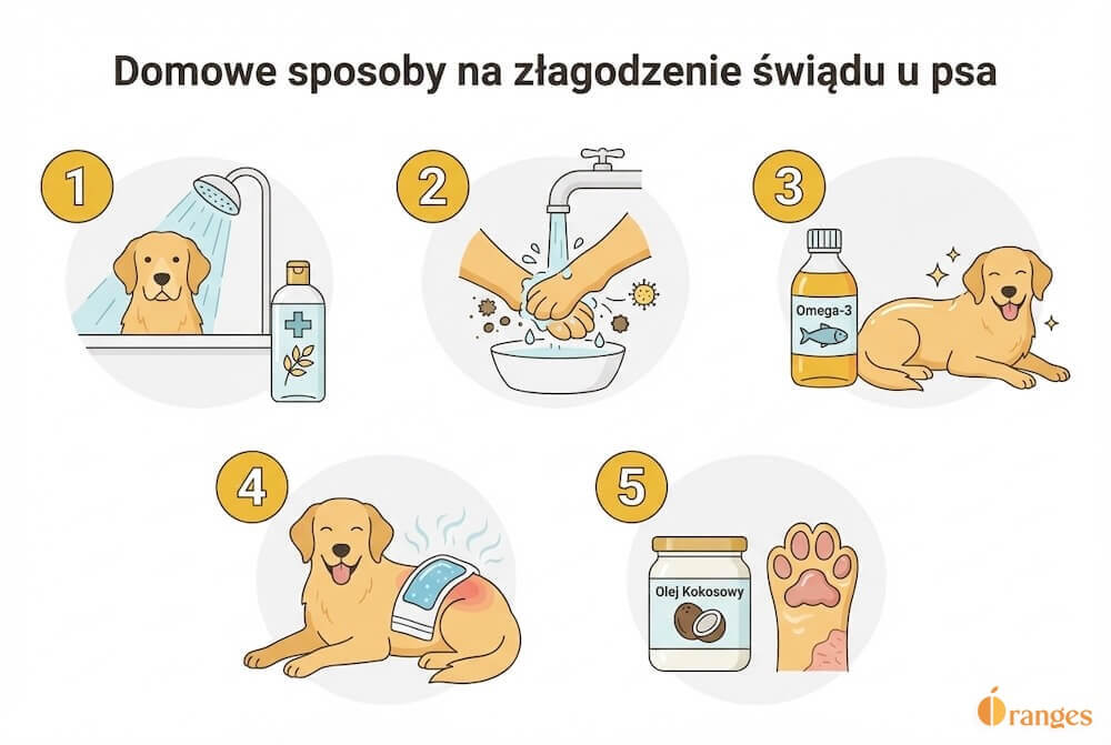 Pozioma infografika o domowych sposobach na złagodzenie świądu u psa: pięć sekcji pokazujących odpowiednio kąpiel w hipoalergicznym szamponie, mycie łap po spacerze, podawanie oleju z Omega-3, przykładanie chłodnego kompresu oraz miejscowe stosowanie oleju kokosowego