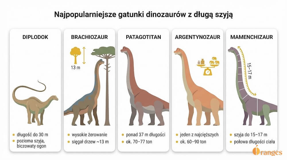 Pozioma infografika 16:9 pokazująca pięć dinozaurów z długą szyją — diplodoka, brachiozaura, patagotitana, argentynozaura i mamenchizaura — każdy w osobnej sekcji z krótkimi hasłami o długości, wadze i charakterystycznej szyi
