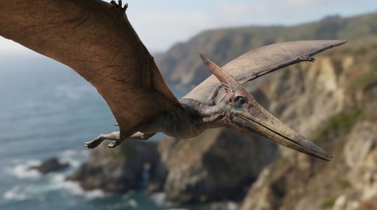 Pteranodon latający pterozaur