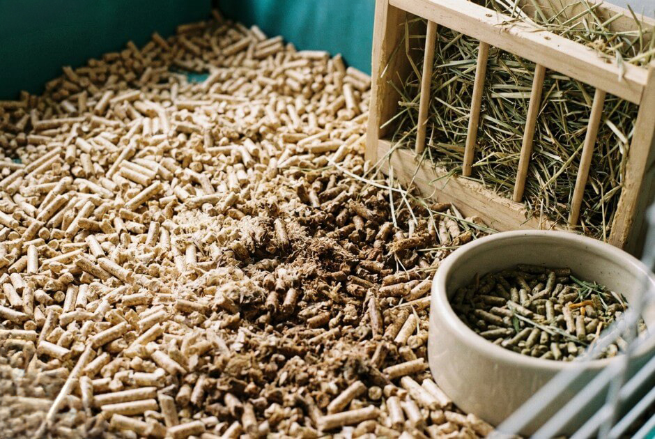 Klatka z podłożem z pelletu drewnianego