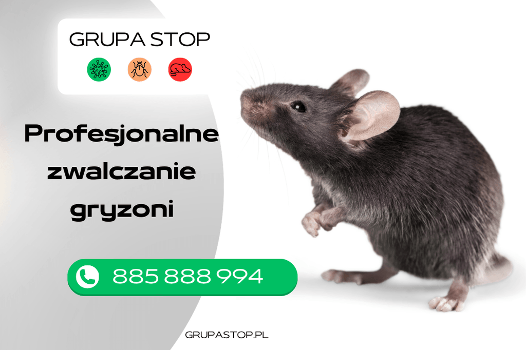deratyzacja Grupa Stop